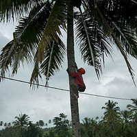 Photo de Bali - Balade, Garuda et spectacle